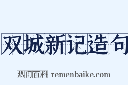 双城新记造句是什么意思的图片